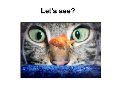 a-minute-to-win-it-002