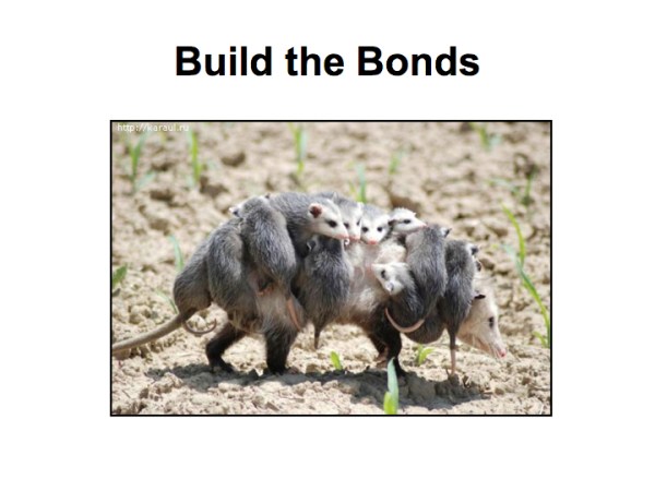 a-minute-to-win-it-005