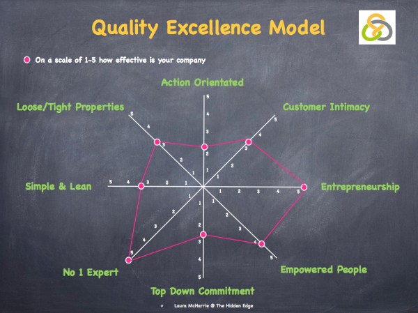 Quality Excellence Model.003