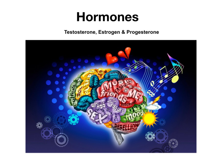 Talk to the Hand.012