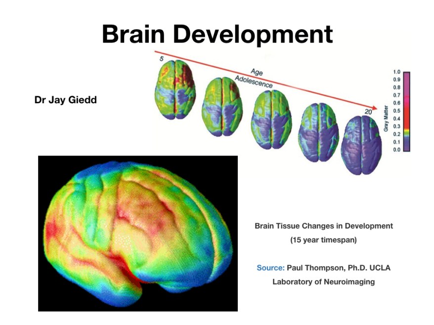 Talk to the Hand.018