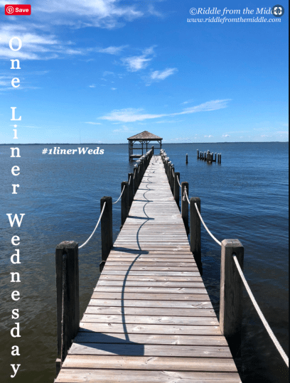 Screenshot 2020-06-24 at 16.43.30