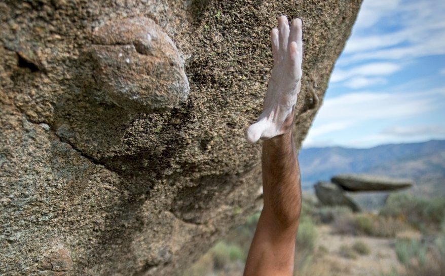 pexels-rodrigo-946337